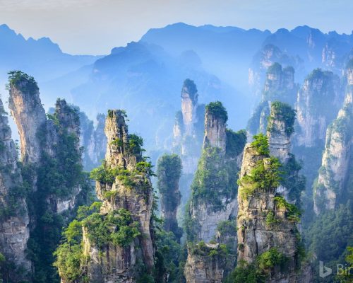 China_Hunan_Zhangjiajie_National_Forest_Park_2018_Bing_1920x1080